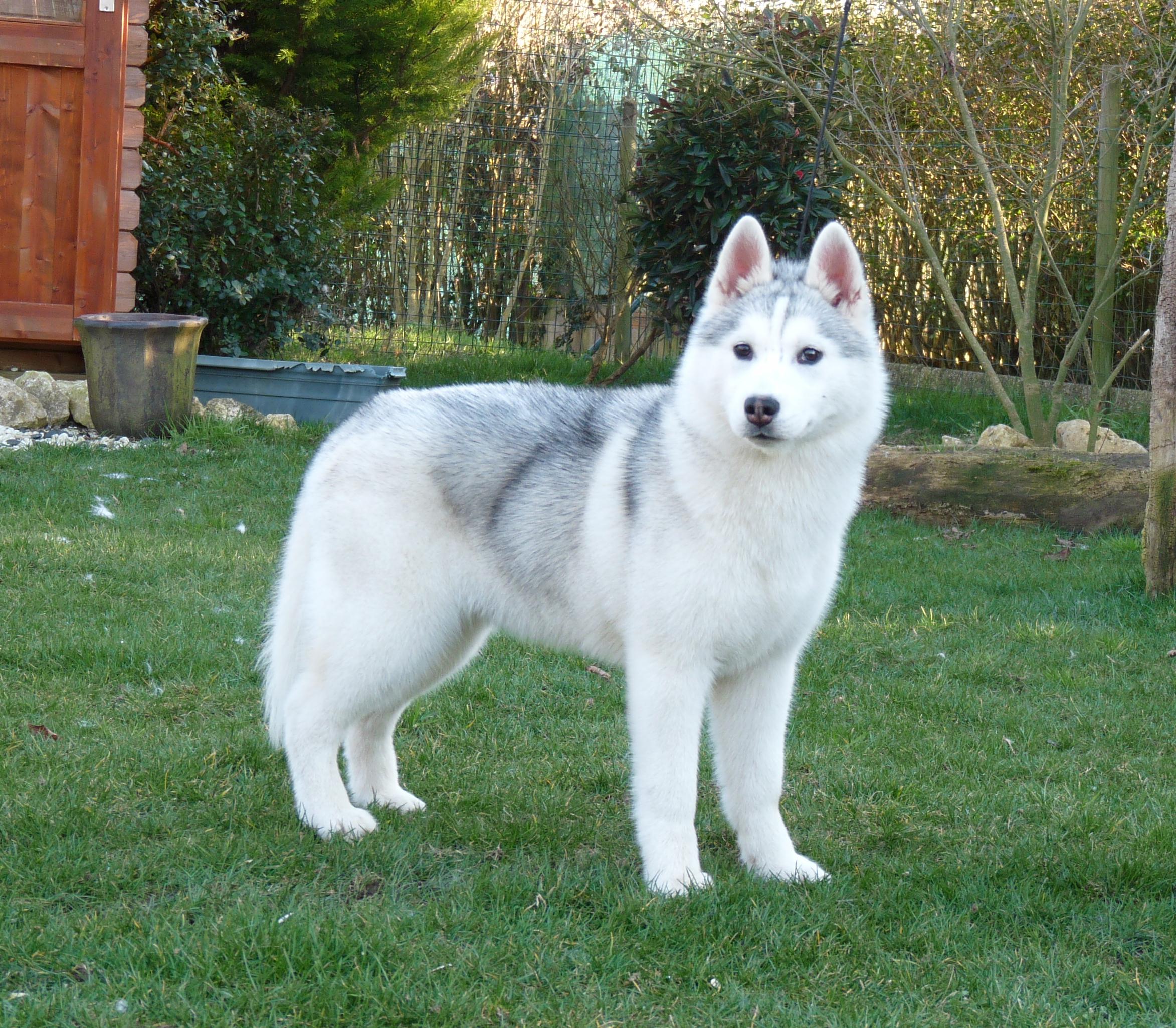 breeze1