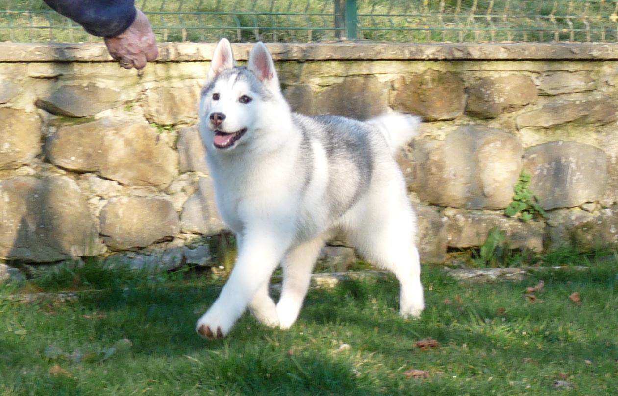 breeze2
