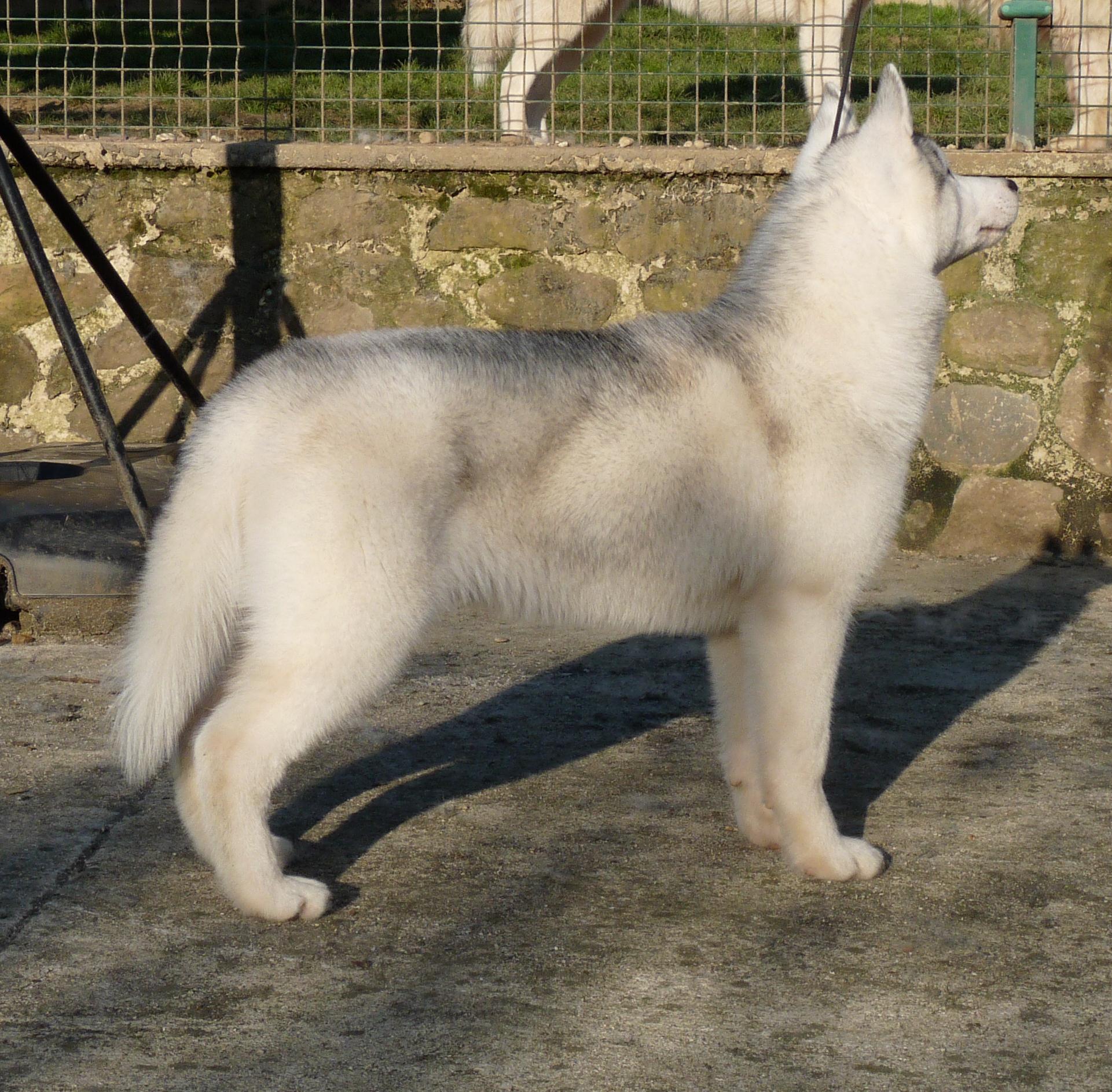 breeze5