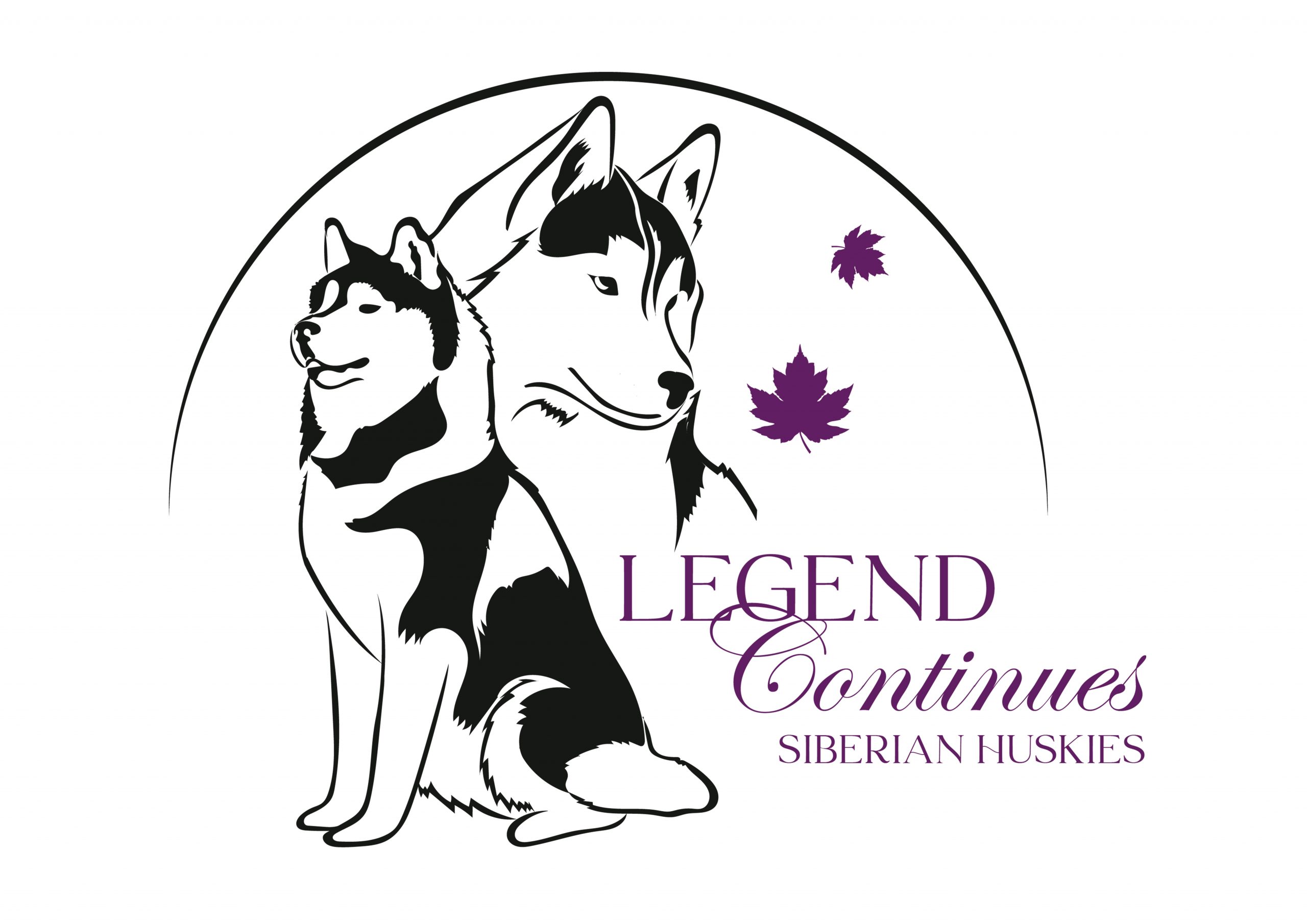 legendcontinues.es